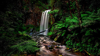 Waterfalls, Rzeka, Las, Paprocie, Wodospad HD wallpaper