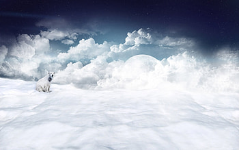 Fantasy , blue, white, polar bear, moon, fantasy, sky, cloud HD wallpaper