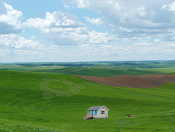 Been Outside Lately, cool, , been-outside-lately HD wallpaper