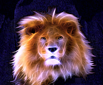 Lion, cool, beauty HD wallpaper