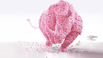 Pink bunny uniting as a rhino HD wallpaper