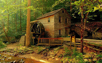 beautiful old mill, river, forest, terrace, mill HD wallpaper