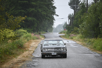 Tracker (2024) : Iconic Journey Awaits, TV Show, Tracker (2024) HD wallpaper