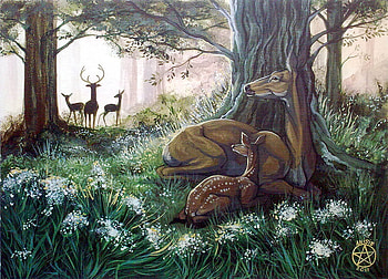 morning, animal, anime, trees, deers, flowers, grass, jugle HD wallpaper