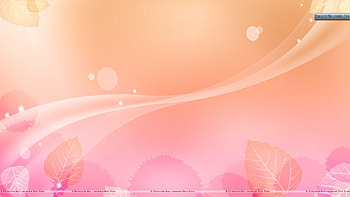 Light Pink Flower Abstract Background HD wallpaper