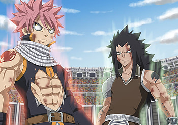 Anime Fairy Tail, Gajeel and Natsu, , Dragon Slayer HD wallpaper