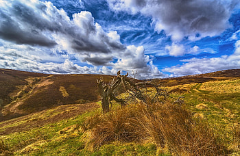 Scotland, nature, landscape HD wallpaper