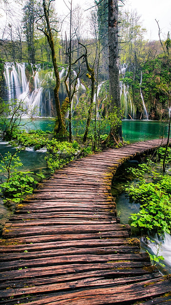 Plitvice lakes, Waterfalls, Trees, Wood bridge HD phone wallpaper