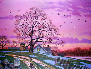Evening Lights, field, colors, sky, cottage, water, spring, tree, sunset HD wallpaper
