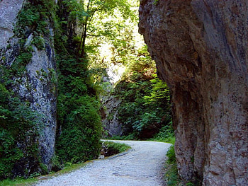 Romania, beautiful, nature, mountains HD wallpaper