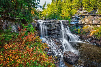 Blackwater falls, blackwater, fall, beautiful, rocks, nice, stones, summer, falling, pretty, waterfall, nature, flowers, water, lovely, forest HD wallpaper
