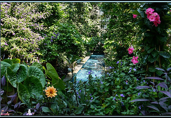 Colors in the garden, gardens, flowers HD wallpaper