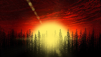 Art, Sun, Dawn, Glare, Forest HD wallpaper
