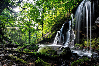 Greenery, , Waterfall, Forest, Nature, Waterfalls HD wallpaper
