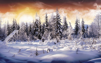 | Background ID:49262. Earth Winter HD wallpaper