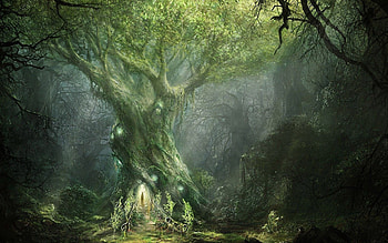 Fangorn, Movies, Lotr Green HD wallpaper