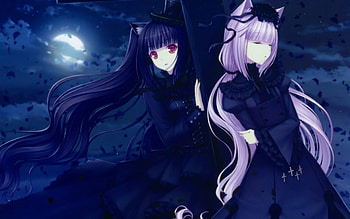Neko girls, cat ears, anime, white hair, Nekomimi, girl, black hair HD wallpaper