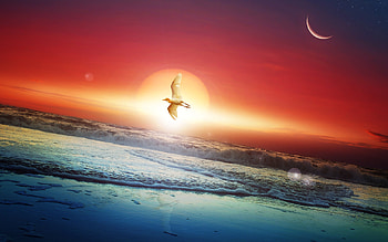 Moon Sun Art, moon, sun, artist, digital-art HD wallpaper