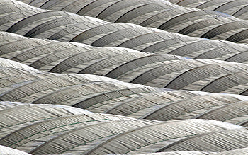 Feather, Texture, Textures, Surface, Grey HD wallpaper