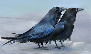 Raven, Animal, Bird, Birds HD wallpaper