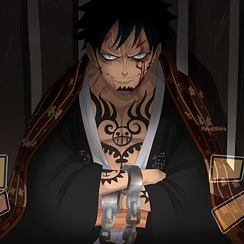 Law, One Piece, Anime, Trafalgar Law HD phone wallpaper