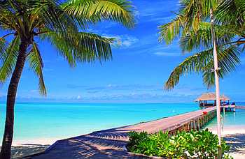 Nature, Sky, Sea, Clouds, Palms, Ocean, Island, Maldives, Bungalow HD wallpaper