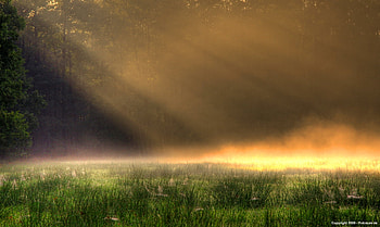 Morning Sun, nature, sunrise HD wallpaper