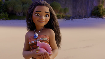 Shell motif, , Special link, Rmoana HD wallpaper