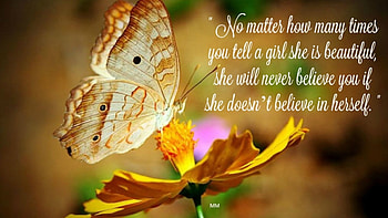 Beauty, Animals, Butterfly, Nature, Quotes, Flower, Thoughts, Words HD wallpaper