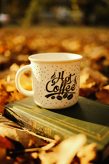 Coffee, Words, Cup, Inscription, Book, Mug HD phone wallpaper