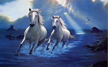 57 Running Horses [] for your , Mobile & Tablet. Explore Horse . Horses , Of Horses, Spring Horse, Galloping Horse HD wallpaper