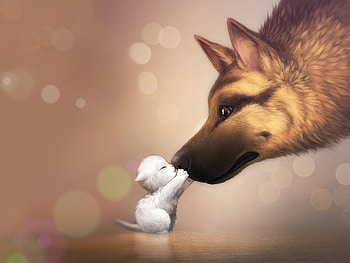 Animals, Cats, Dogs HD wallpaper