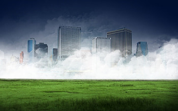 Urban Jungle , urban, jungle HD wallpaper