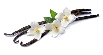 Vanilla bean coffee, Fresh roasted coffee, Smokinbeans coffee co, Flavored coffee HD wallpaper