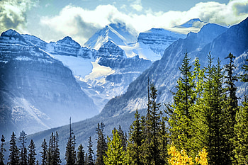 Nature, Trees, Mountains, Clouds, Fir, Spruce HD wallpaper