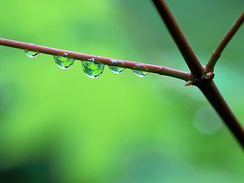 Spring HD wallpaper