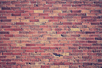 Texture, Textures, Wall, Bricks, Brick Wall HD wallpaper