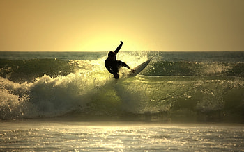 Sports, People, Windsurfing HD wallpaper