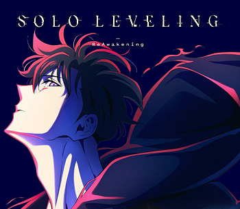 Sung Jin Woo, Anime, Solo Leveling, Sung Jin-Woo HD wallpaper