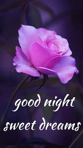 Good Night, Sweet, Dreams HD phone wallpaper