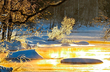 The Snow, The Sun, Winter, Branches, River HD wallpaper