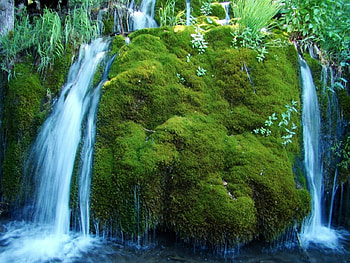 Greenish Nature, waterfall, beautiful, nature, peaceful, water HD wallpaper