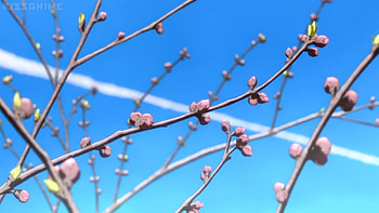 Blossom, blue, floral, spring, beauty, nice, k on, scenery, petals, flower, cherry blossom, k-on, sweet, scene, kon, beautiful, branch, pink, anime, pretty, sakura, branches, sky, sakura blossom, lovely HD wallpaper