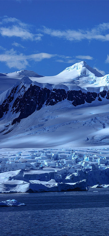 Antarctica Travels, Latest , Arctic paradise, visuals HD phone wallpaper