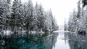 Winter Cold Lake, winter, lake, nature, snow, reflection HD wallpaper