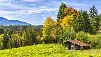 Charming wooden hut nestled in a vibrant autumn forest with colorful foliage and lush greenery. HD wallpaper