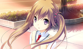 Yoru Kazato, anime girl, wind, white, brown, anime school girl, anime, kono oozora ni tsubasa wo hirogete HD wallpaper