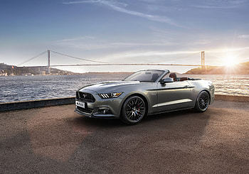 Ford Mustang New 2019, ford-mustang, mustang, cars HD wallpaper