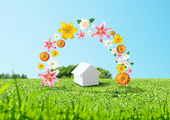 Flowers, Miscellanea, Miscellaneous, House, Environment HD wallpaper