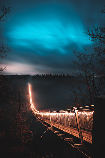 Cities, Trees, Night, Fog, Bridge HD phone wallpaper